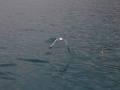 DSC_0239_1847DSC_0239
