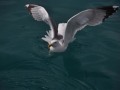 DSC_0246_1853DSC_0246