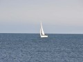 DSC_0309_1915DSC_0309