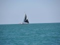 DSC_0355_1958DSC_0355