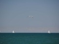 DSC_0385_1988DSC_0385