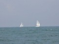 46-Regata25202Mares_013