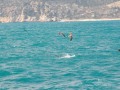 48-Regata25202Mares_033